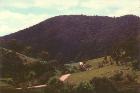 1991 - LGS purchases Tareka a 570 acre property in the Howqua Valley.